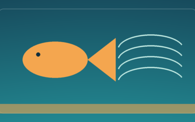 Plan a Shore-Fishing Session Around a Changing Tide