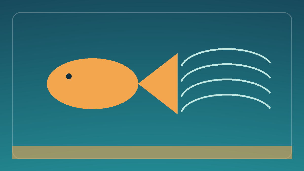 Plan a Shore-Fishing Session Around a Changing Tide